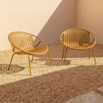 Golden Hour Sillón lounge para exterior (Juego de dos), Limón