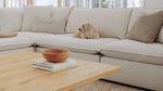 Chill Time Seccional modular de 5 piezas, Cove